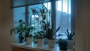  at Loving Hut - Baruun Durvun Zam in Ulaanbaatar