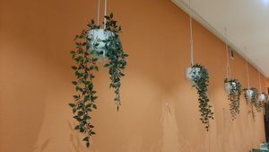  at Loving Hut - Baruun Durvun Zam in Ulaanbaatar