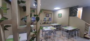  at Loving Hut - UB13 in Ulaanbaatar