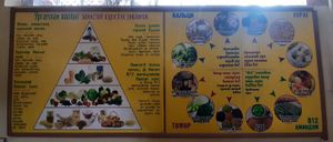  at Loving Hut - UB13 in Ulaanbaatar