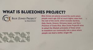 On the menu   at Thai Orchid in Klamath Falls