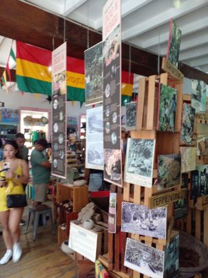 Learn abt cocoa history, how it's made at House of Chocolate Grenada Museum in St Georges