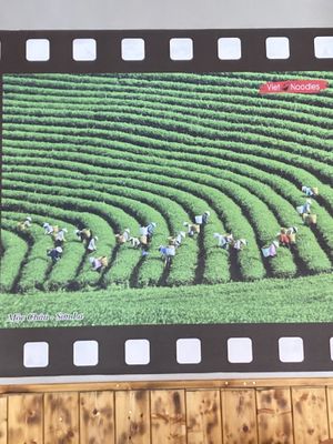   at Viet Noodles in Reykjavik