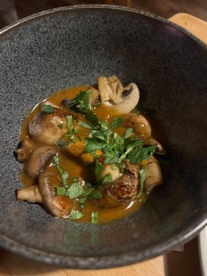 Mushroom curry  at Nooch in Shrewsbury