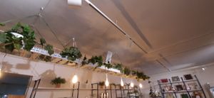  at Foody Vegan Cuisine and Cafe in Ulaanbaatar