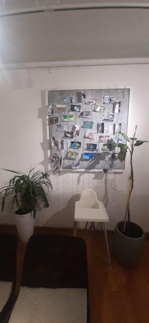  at Foody Vegan Cuisine and Cafe in Ulaanbaatar