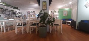  at Foody Vegan Cuisine and Cafe in Ulaanbaatar