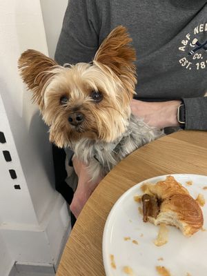 Apple danish   at Krafin in Prague