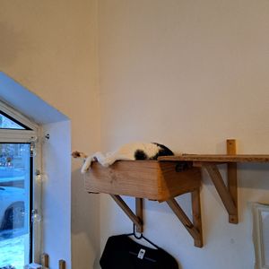  at KOTON Kocia Kawiarnia in Wroclaw