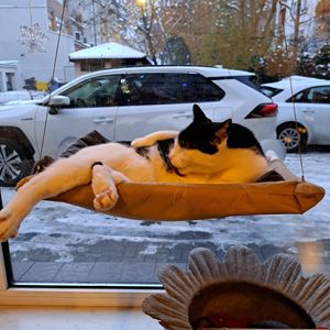  at KOTON Kocia Kawiarnia in Wroclaw