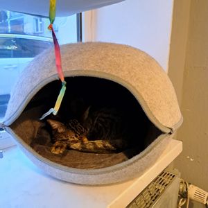  at KOTON Kocia Kawiarnia in Wroclaw