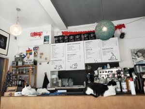  at KOTON Kocia Kawiarnia in Wroclaw