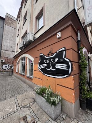 Never sure of cat cafes   at KOTON Kocia Kawiarnia in Wroclaw