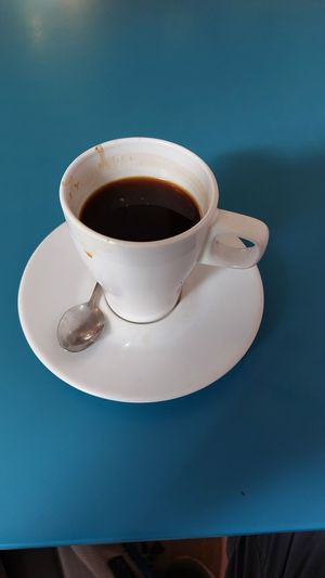  at KOTON Kocia Kawiarnia in Wroclaw