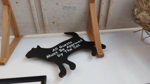  at KOTON Kocia Kawiarnia in Wroclaw