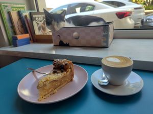  at KOTON Kocia Kawiarnia in Wroclaw