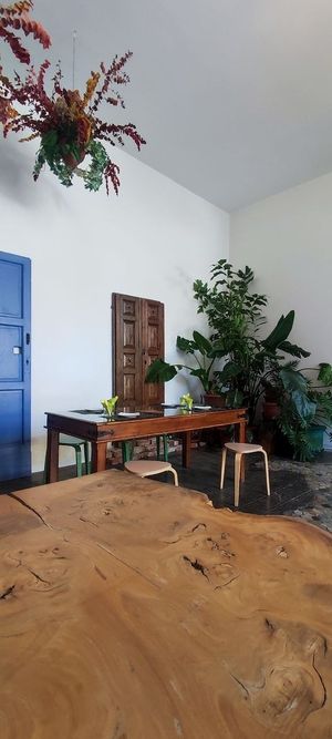Location details at Pioppo Tremulo in Seregno