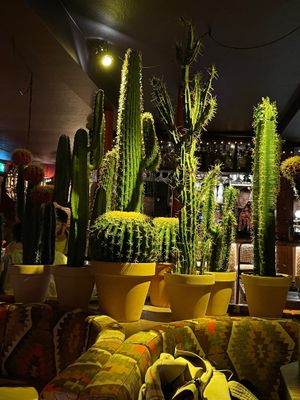  at Tres Locos in Reykjavik