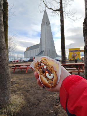  at Víkinga Pylsur - Kiosk in Reykjavik