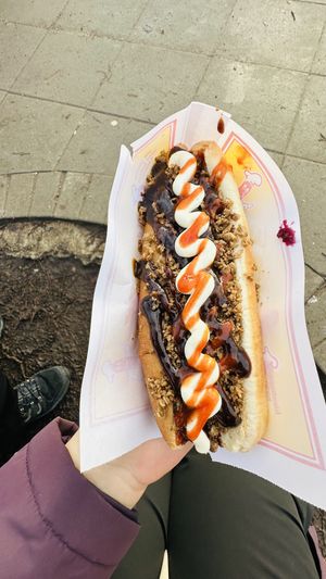 Vegan Hot Dog with vegan “mince”   at Víkinga Pylsur - Kiosk in Reykjavik