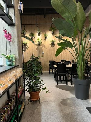 Green Vibe! at Shushu Haru  in Montreal