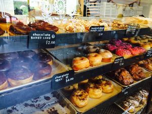 so many vegan donuts! at Revolution Doughnuts in Decatur