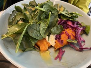   at Orient Occident in Vienna