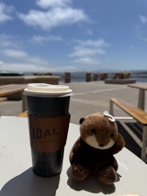   at Tidal Coffee in Monterey