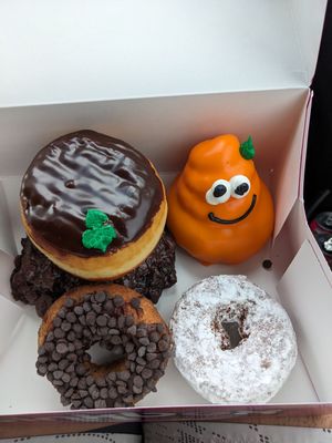 Blueberry fritter, chocoholic, shell donut (boston cream without cream), powdered doughnut with jelly filling and VEEGEE (cake doughnut with orange frosting) at Pinkbox Doughnuts in St George