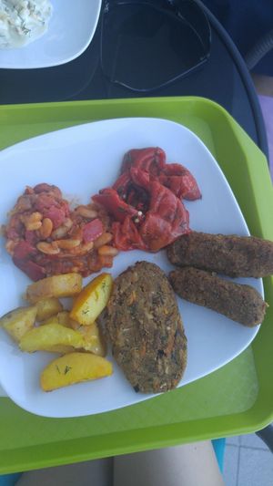 Snitel and Mici at Casa Vegetariana in Constanta