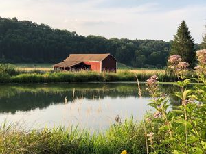 at Tamerlaine Sanctuary & Preserve in Montague