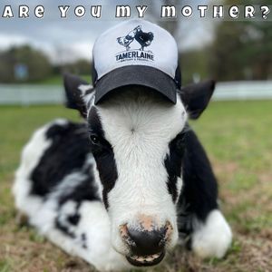  at Tamerlaine Sanctuary & Preserve in Montague