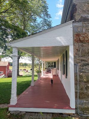 Kitty is coming right for me! at Tamerlaine Sanctuary & Preserve in Montague