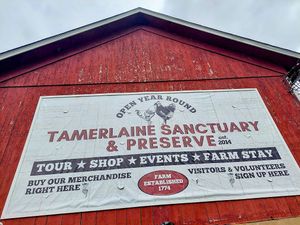  at Tamerlaine Sanctuary & Preserve in Montague