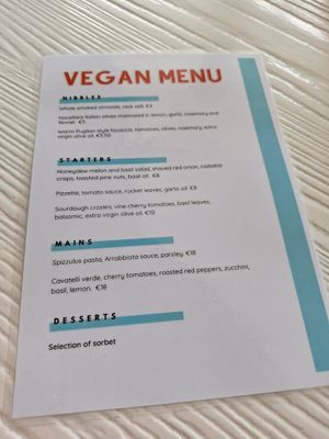 Current vegan menu June 2025, not on website at Sienna's in Dublin