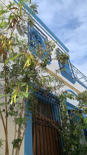 Tetería Almedina  at Teteria Almedina in Almeria