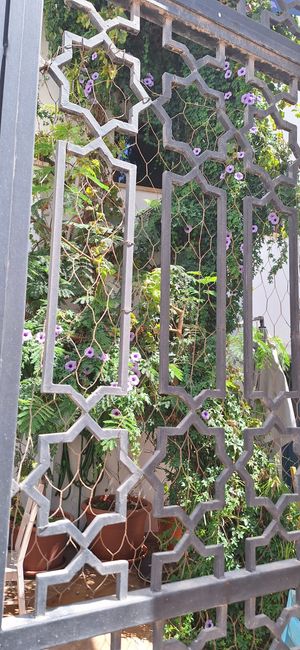  at Teteria Almedina in Almeria