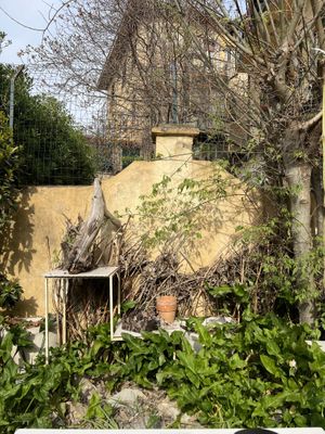 Courtyard   at House Cafe in Pisa