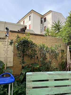 Cortile  at House Cafe in Pisa