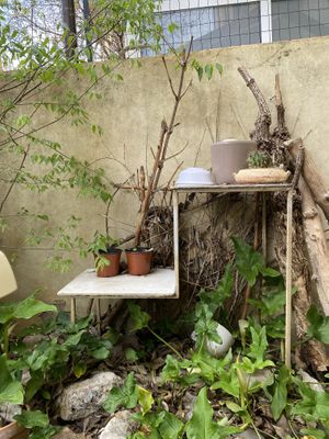   at House Cafe in Pisa