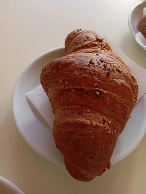  at House Cafe in Pisa