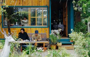 Pic from their Facebook    at DEER in the Forest in Da Lat