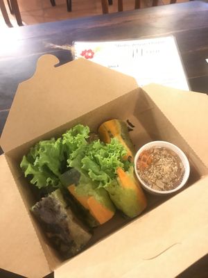 Best vegan spring rolls I have ever eaten  #Veganuary at Shala Vegan House in Da Nang