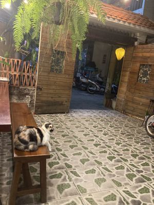   at Shala Vegan House in Da Nang