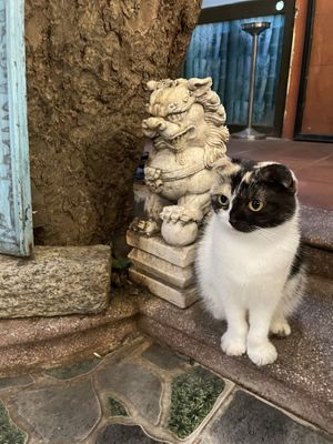   at Shala Vegan House in Da Nang