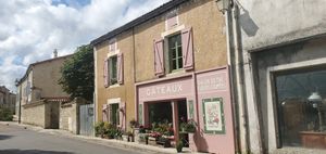 Vegan cake in the local village at La Cour de Husson in Charme