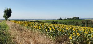  at La Cour de Husson in Charme