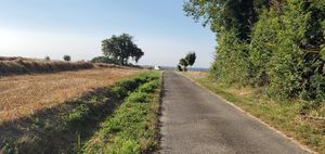  at La Cour de Husson in Charme