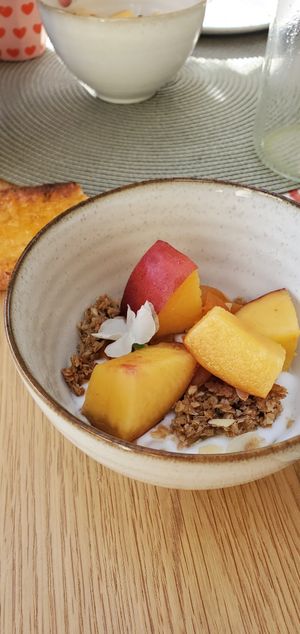 Vegan yogurt with fresh fruit for breakfast at La Cour de Husson in Charme