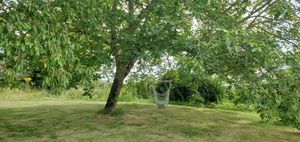  at La Cour de Husson in Charme